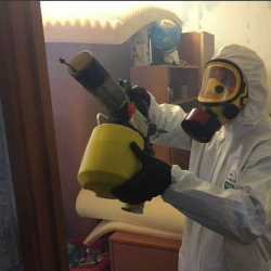 Уничтожение клопов в квартире. Полевской